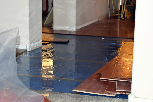 Professional Water Extraction technician working in Flint Hill, MO
